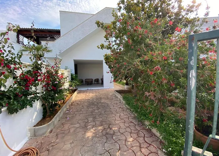 Villa Delle Mimose - Baia Verde