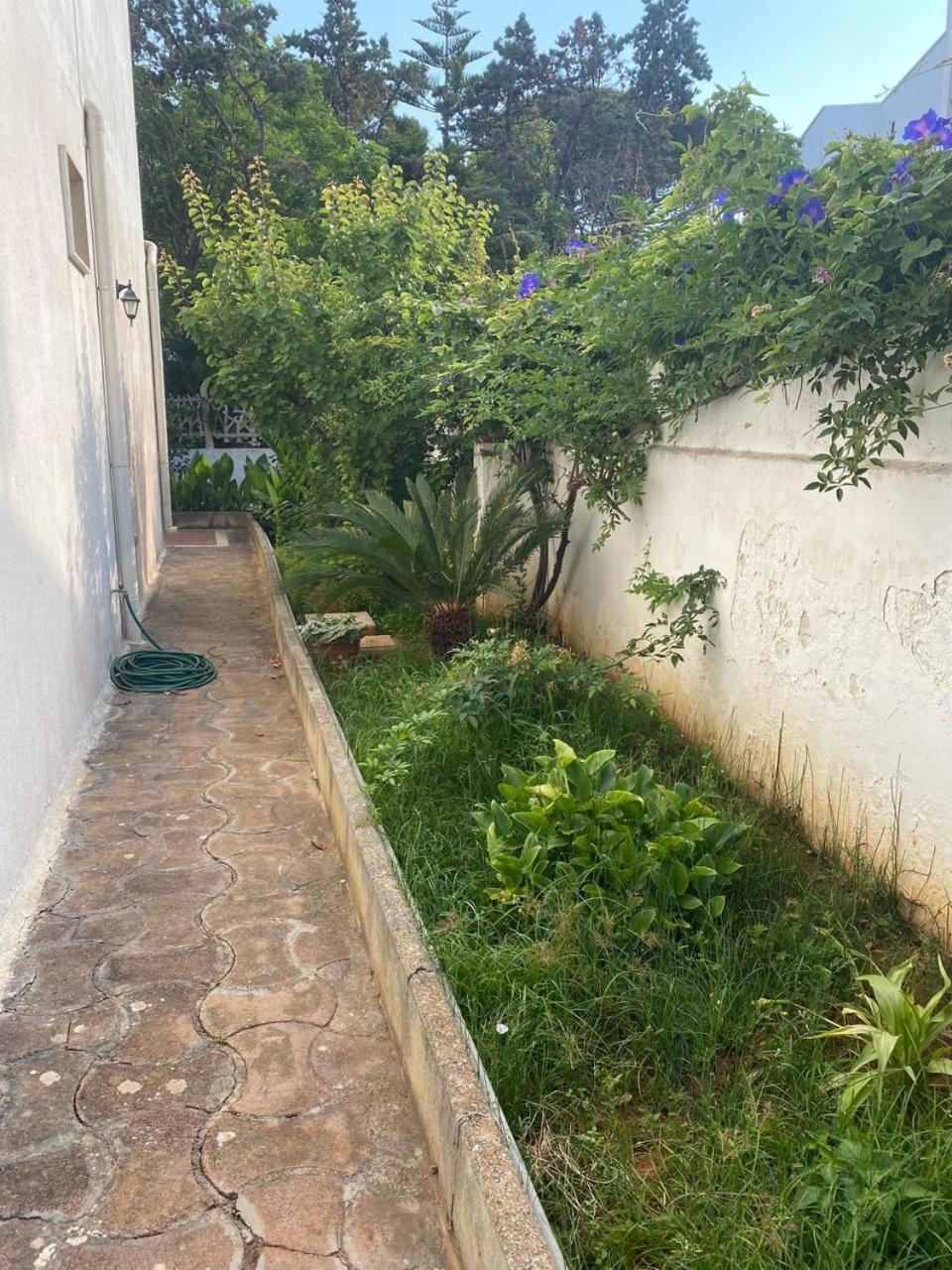 Delle Mimose - Baia Apartment Gallipoli